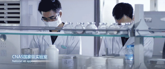 6008集团官方网站(中国)股份有限公司